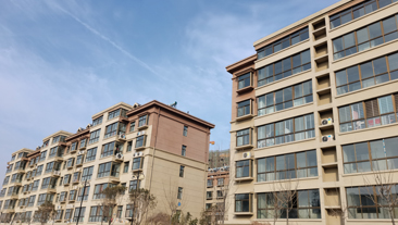 山东省泰安市东盛嘉苑小区集中供暖项目案例