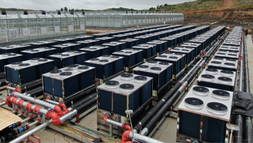 贵州省毕节市威宁彝族回族苗族自治县大棚恒温种植项目案例