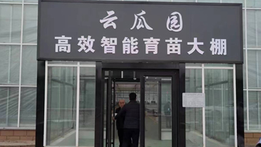 河南省商丘市睢县云瓜育苗培植大棚恒温项目(10500㎡)案例