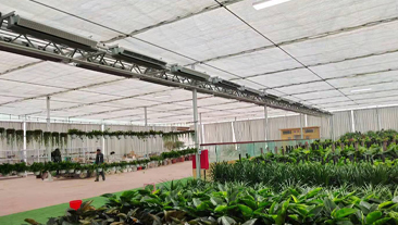 河北省廊坊市花卉恒温大棚供暖项目案例