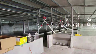 贵州省铜仁市石阡县某养猪场恒温养殖项目案例