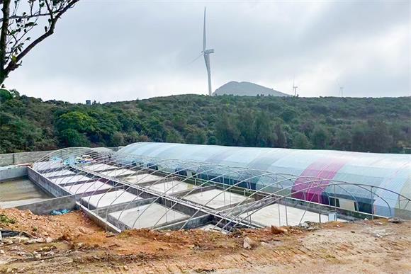 工程案例|福建泉州鳄鱼恒温养殖碧涞空气能热泵项目