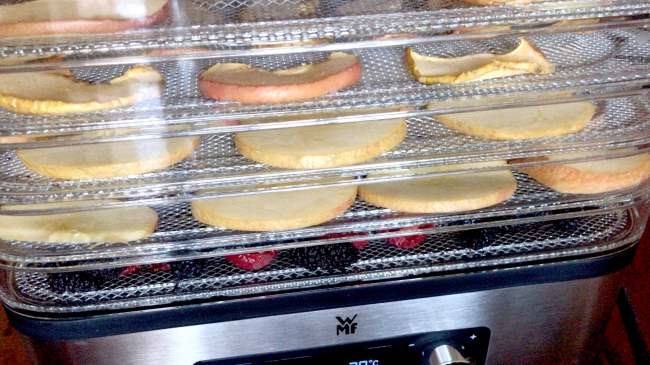 高温热泵用于蔬菜果脯烘干厂碳中和产业园及减碳方法