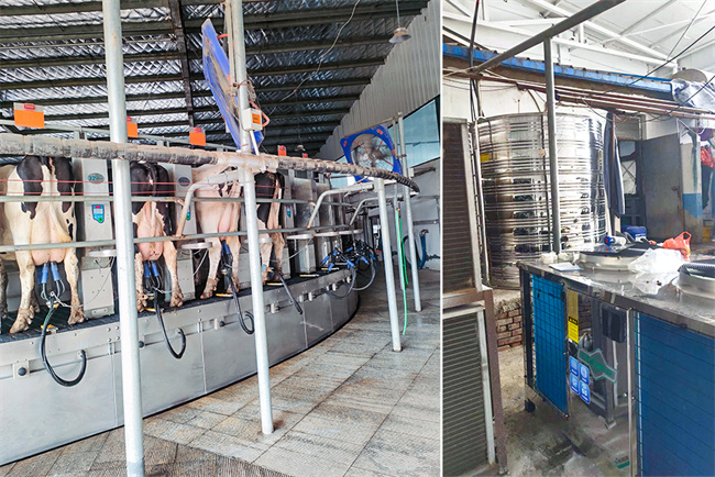 光明乳业启动高温热水项目，碧涞热泵助力绿色低碳发展