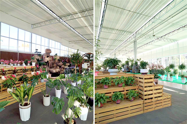 山西省太原市侯方花卉市场展厅恒温种植项目:碧涞空气能热泵助力打造舒适恒温环境